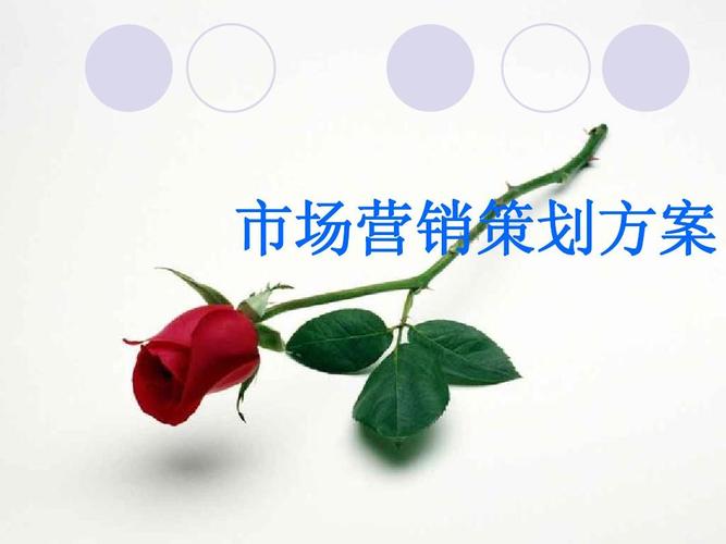 黑弧奧美提案 超市商品分類、旅游市場營銷與企業(yè)形象策劃整合方案